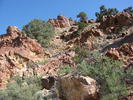 photo thumbnail #6