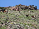 photo thumbnail #8