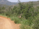photo thumbnail #7