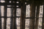 photo thumbnail #10
