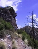 photo thumbnail #3