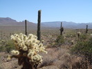 photo thumbnail #7