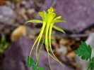 photo thumbnail #10