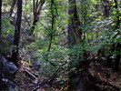 photo thumbnail #13