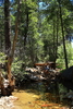 photo thumbnail #11