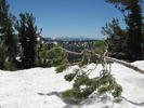 photo thumbnail #6