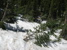 photo thumbnail #9