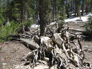 photo thumbnail #10