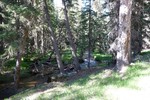 photo thumbnail #3