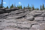 photo thumbnail #15