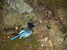 recent photo