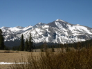 recent photo