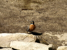 recent photo