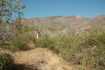 photo thumbnail #2