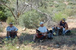 photo thumbnail #8