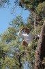 photo thumbnail #12