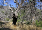 photo thumbnail #8