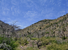photo thumbnail #11