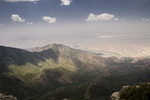 photo thumbnail #12