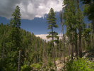 photo thumbnail #1
