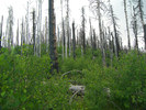 photo thumbnail #3
