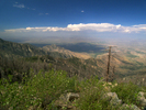photo thumbnail #9
