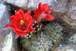 photo thumbnail #7