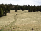 photo thumbnail #5