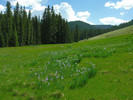 photo thumbnail #2