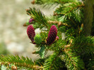 photo thumbnail #6