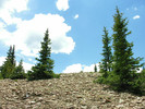photo thumbnail #7