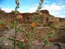 photo thumbnail #10