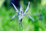 photo thumbnail #8