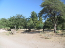 photo thumbnail #3