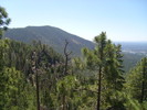 photo thumbnail #4