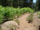 photo thumbnail #11