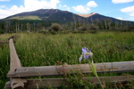 photo thumbnail #4