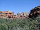 photo thumbnail #3
