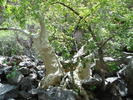 photo thumbnail #11