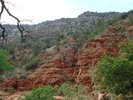 photo thumbnail #12