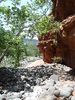 photo thumbnail #13
