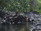 recent photo