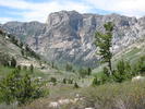 photo thumbnail #10