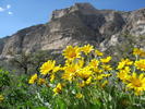 photo thumbnail #12