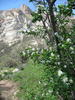 photo thumbnail #13