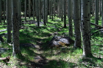 photo thumbnail #7