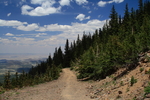 photo thumbnail #12