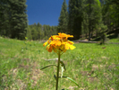 photo thumbnail #15