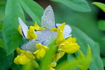 photo thumbnail #11