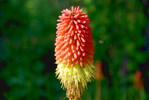 photo thumbnail #14